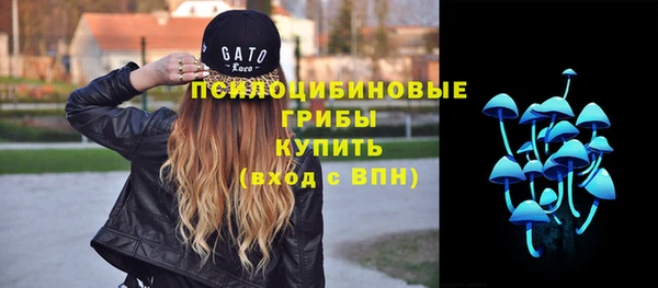 гидра Ступино