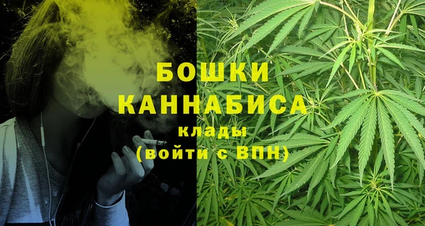 спайс Белокуриха