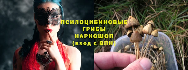 спайс Белокуриха